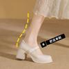 Spring and Summer New Mary Jane Small Leather Shoes Women's Thick Heels Light Mouth High Heels Black Single Shoes