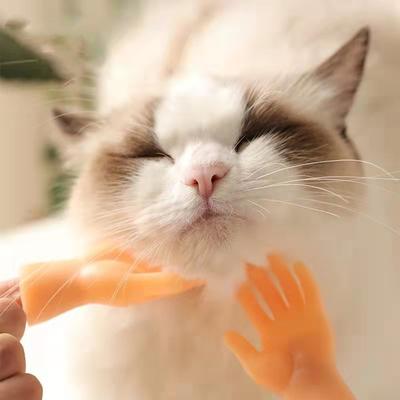 1 Paar Katzenspielzeug Massagehandschuhe Kleiner Finger Katzen-Set Lustige Fingerhände Fingerspielzeug Haustierbedarf