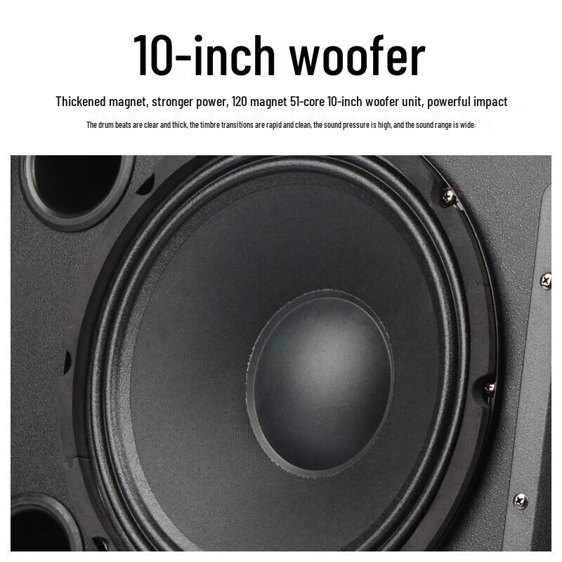 SHILE Professional 10-inch Conference & KTV Audio System with Wireless Microphones