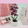 Flowers Butterfly Artificialseven Orchid Decor For Living Room Decoration