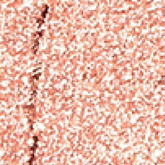 HOLIKA HOLIKA My Favorite Peace Eyeshadow/Gel Tail/Peace Beam/Peace Balm