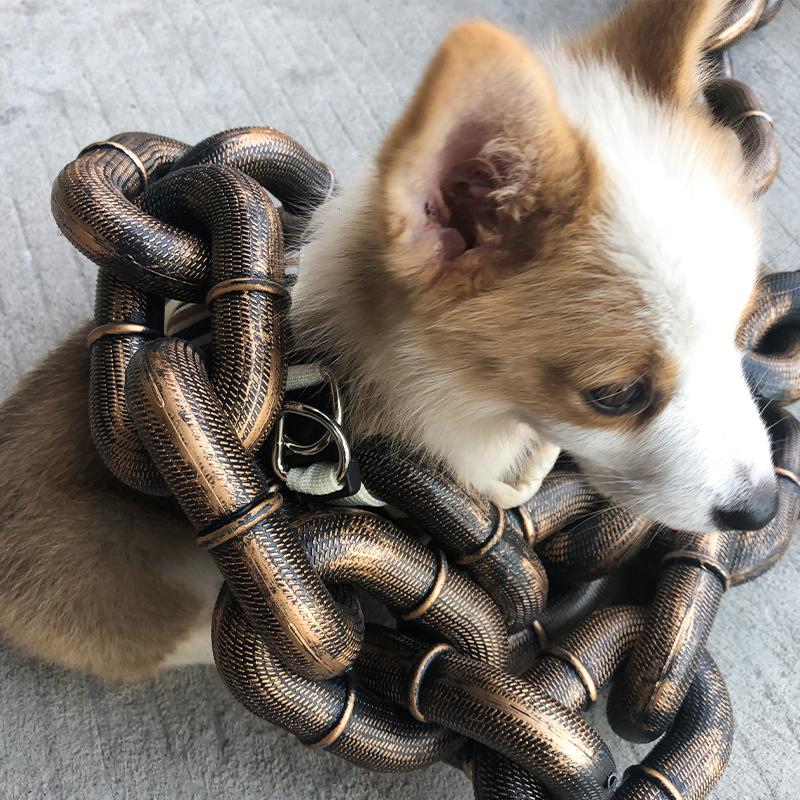 Kreative Hundeleine Lustige Hundekette Lange Welpenleine Große Hunde Spielzeugkette Zubehör Geschirr Leine Dinge für Hunde Lanyard