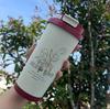 Double drinking cup Stainless steel straw thermos cup Women's portable cup Gift cup High value coffee cup