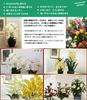 Artificial Orchid Design Photocatalyst Interior Flower Phalaenopsis/Western "Traditional Style/Blue Pot" (Air Purifier) (Dendrobium-S3 Stem/White