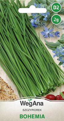 Bohemia Chives 2g Chives Seeds -