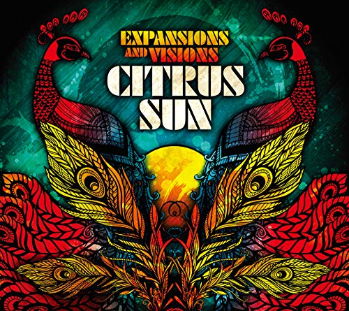 

Expansions & Visions