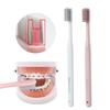 Oral Health Cleaner Teeth Brace Brush Orthodontic Toothbrush Dental Tooth Brush U-Shaped Toothbrush