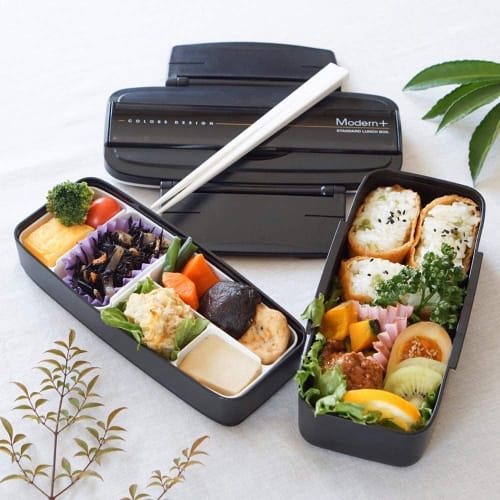 Skater Shokado 2 Tier Bento Box 900ml Made in Japan Modern Plus POW5S-A