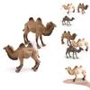 Animal Wildlife Pvc Model Single Hump Camel Decorative Toy For Kids Educational Gift