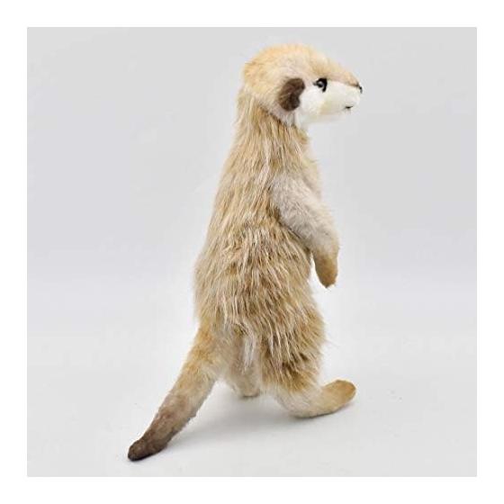 BH5326 HANSA Meerkat 33