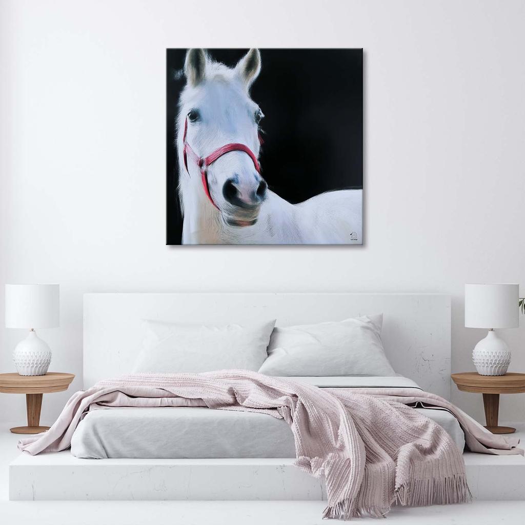 Obraz White Horse Animals