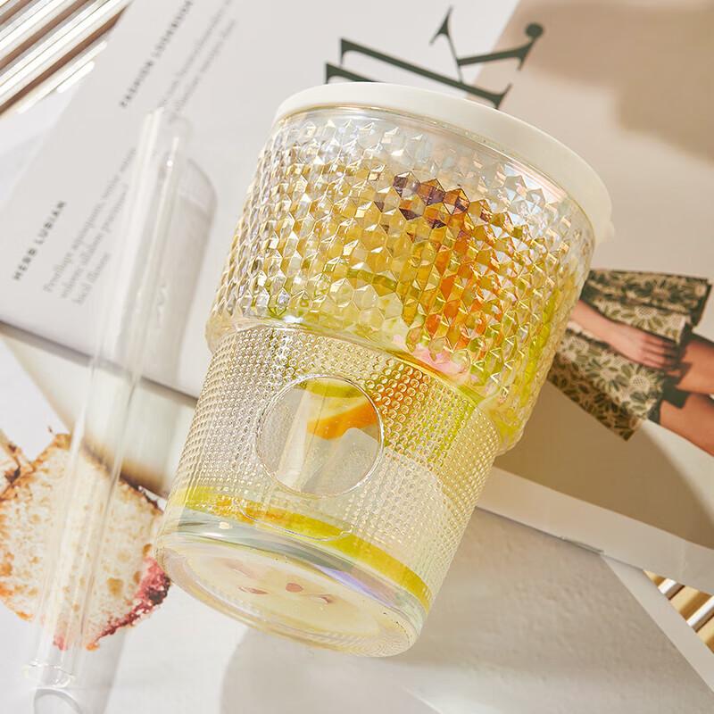 Portable Double-layer Glass Cup