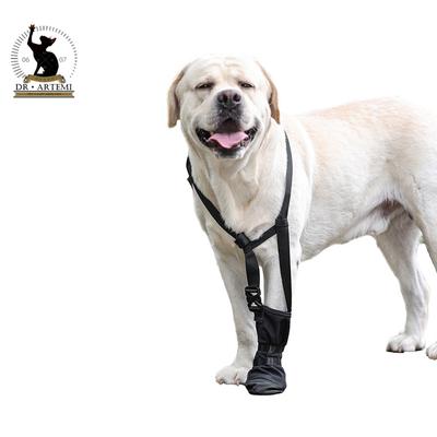 Weicher Hundepfotenschutzschuh Vorderpfoten Heilungsstiefel für verschiedene Rassen Wasserdicht Operationen Erholung Schuhe Socken Schuhe