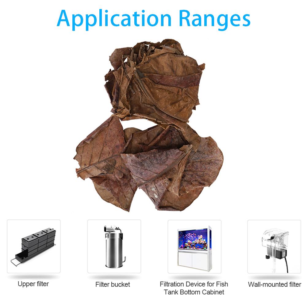 Natural Olive Terminalia Catappa Leaf Aquarium Lower PH Value Acid Lowering Fish Water Quality Improvement
