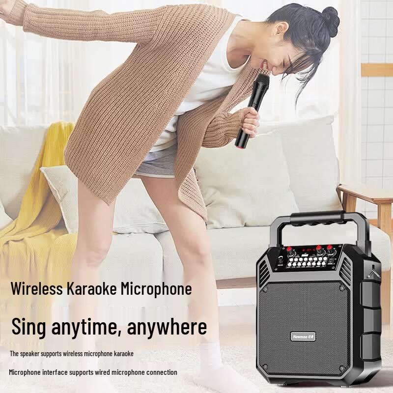 Newsmy K503 Portable Bluetooth Karaoke Speaker (CN version)