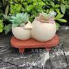 Garden Ornament Craft Flower Pot Multi-resin Home Reading Succulent Flower Pot Crafts Creative Meat