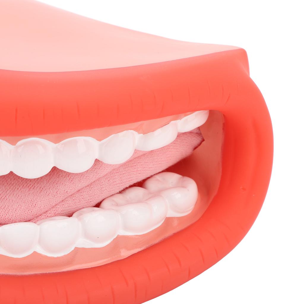 Mouth Puppet with Tongue Teeth Model Brush for Speech Remedy Boys Girls Educational Tools