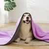Soft Pet Towel Good Absorbent Soft Microfiber Towel for Dog and Cats