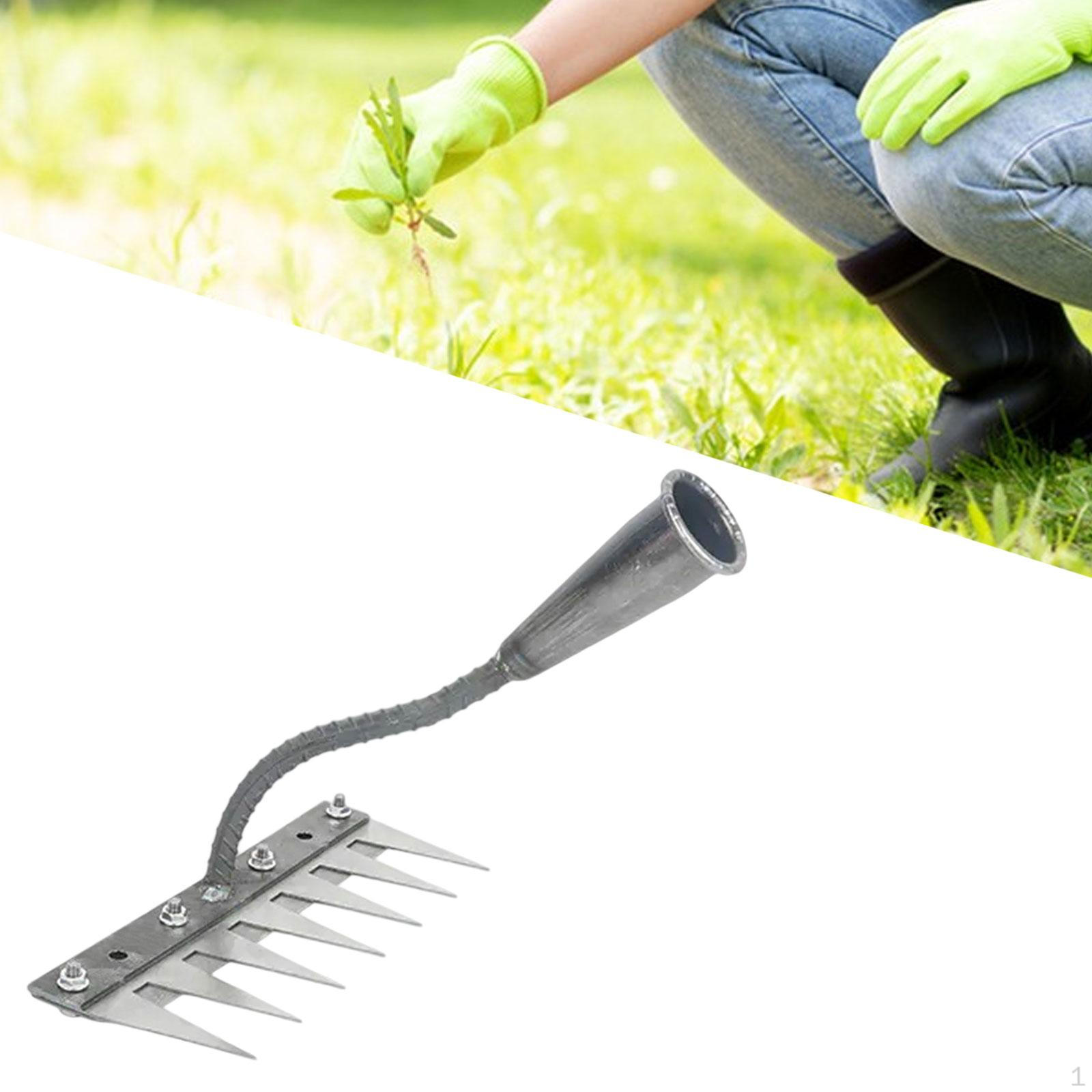 Вычисления, Универсальная сталь Высокопроизводительные ручные инструменты для садовых типов Культивировать ландшафты 7 Teeth