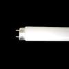 FL40SSEL37HF2 Straight Tube, Palook Premier, 40W, Warm White