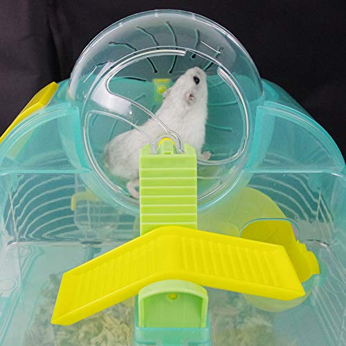 Minimal Land 2nd Floor Spinning Toy, Green, Hamster Toy, Medium