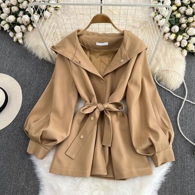 Damen Kapuzen-Windjacke Herbst und Winter Kurze Casual Design Sense Taillierte Jacke