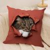 Cute Naughty Cats Dogs Cushion Cover Soft Plush DoubleSided Printed Sofa Pillow Cushion Cover  AllSeason Durable Decor Gift