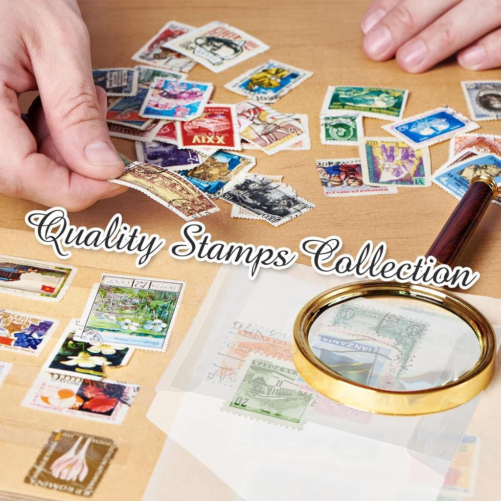 Eersida Glassine Envelopes 2.5x4.25 Inch Glassine Mini Lotto Lottery Ticket Holders Wedding Guest Favor Tissue Seed Envelope Holder for Scratch Stamp