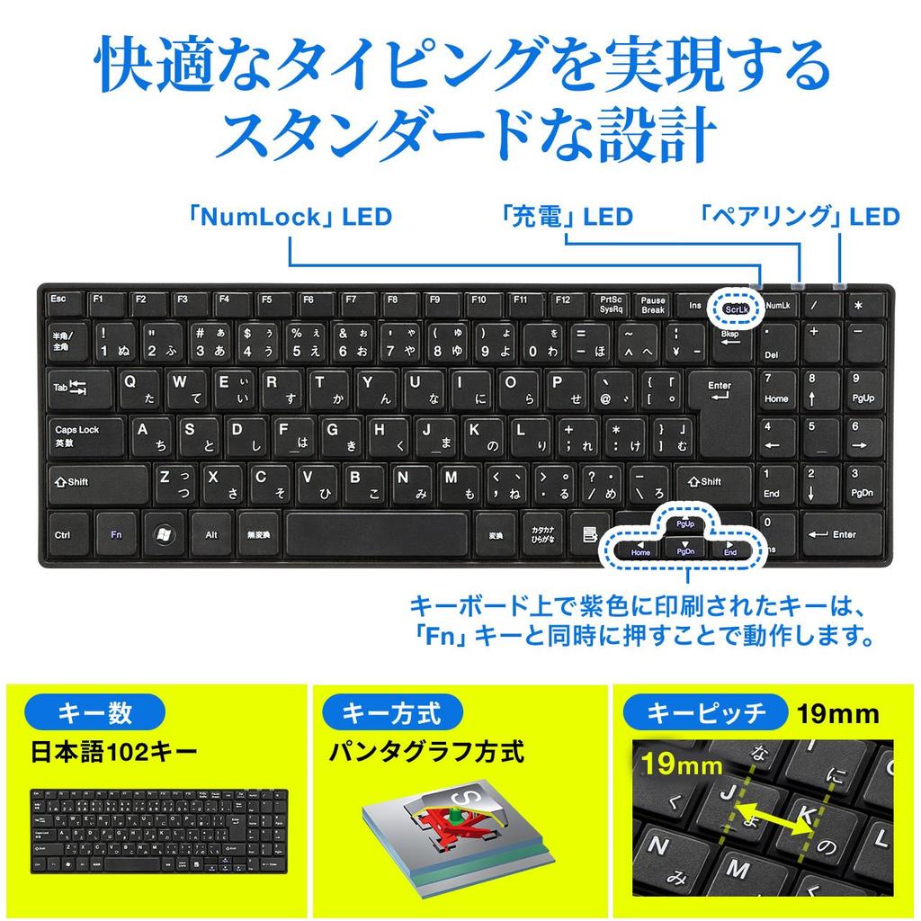 Sanwa Direct Wireless Keyboard, Rechargeable, Compact, Quiet, USB Connection, Pantograph, Thin, Japanese Layout, with Numeric Keypad, Black,