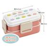 Skater Antibacterial Soft Serving Bento Made In PFLW4AG Ag+ Two-Tier Box, 600ml, Nekotto, Colorful, Japan,