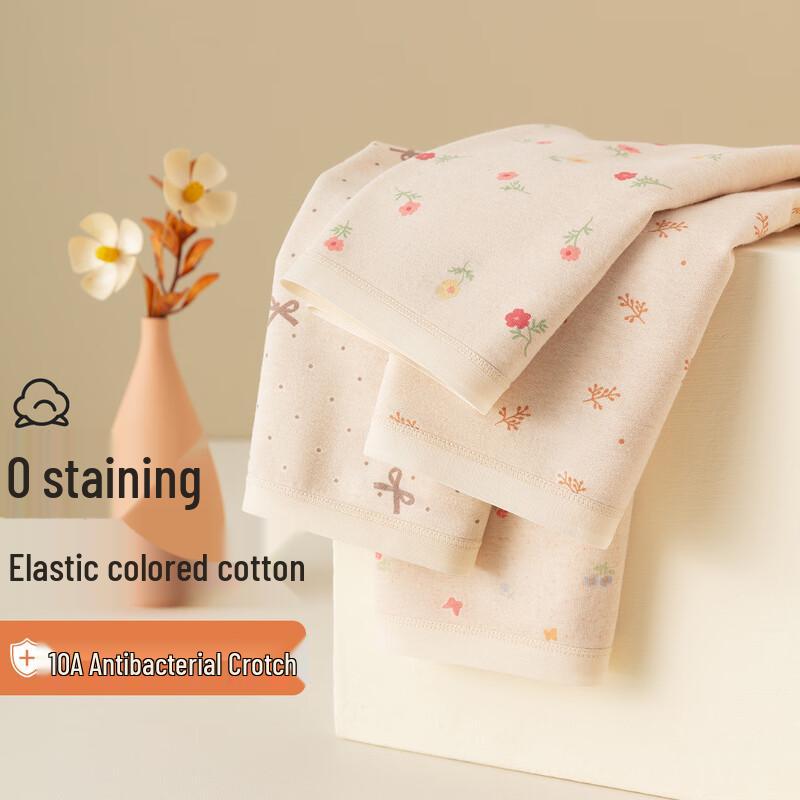 DingGuagua Women's Cotton Antibacterial Mid-Rise Briefs 4-Pack