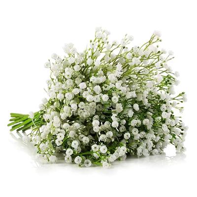 15palcové bílé umělé květiny gypsophila svatební diy kytice dekorace aranžmá plastové miminka dech umělá květina domácí dekorace