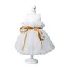 Pet Dress Mesh Texture Silky Edge Tie Belt Small Medium Girl Dogs Puppy White Princess Dresses for Outdoor
