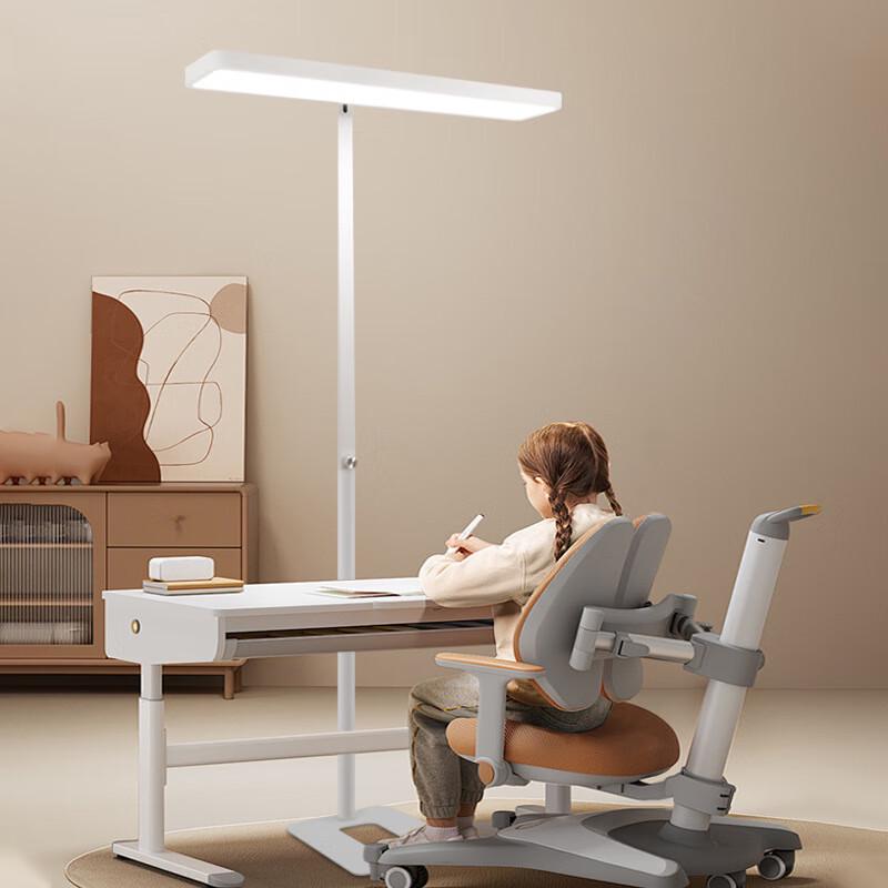Full Spectrum Eye-Protection LED Floor Lamp