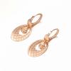 Purple Gold Shiny Smart Rose Shiny Earrings Women'S Rose Gold Plated Ear Buckles Classic