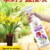 Organic Phalaenopsis Orchid Nutrient: No Dilution Flowering Foliar Fertilizer