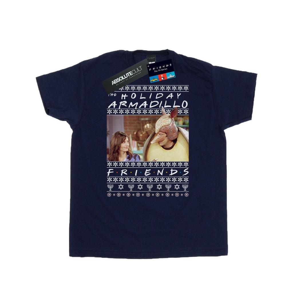 Friends Mens Fair Isle Holiday Armadillo T-Shirt