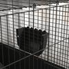 Small Animal Cage with Removable Enclosure, Playpen with Hutch, Incl. Accessories, Black