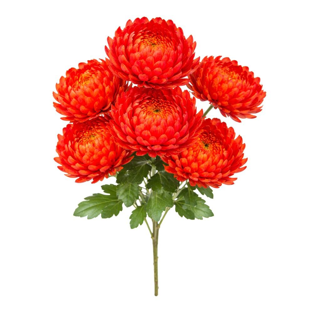 7Head Artificial Flower DIY Flower Silk Fake Flowers Floral Arrangement Worship Supplies Simulation Flowers Cemetery