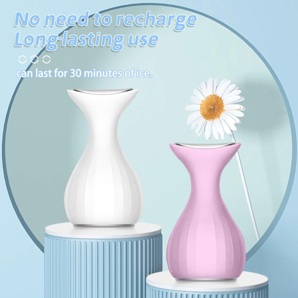 

Маленький ледяной молоток для лица, компресс для лица, сужение пор, успокоение, уменьшение покраснений и отеков, охлаждающий массажный прибор Dolphin Beauty