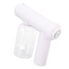 Nano Cleaning Sprayer Rechargeable Blue Light Portable Handheld Alcohol Atomizer for Home Garden