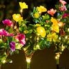 Energy Saving Outdoor Garden Lights Solar Powered Flowers Lawn Lamp  Balcony Villa Landscape