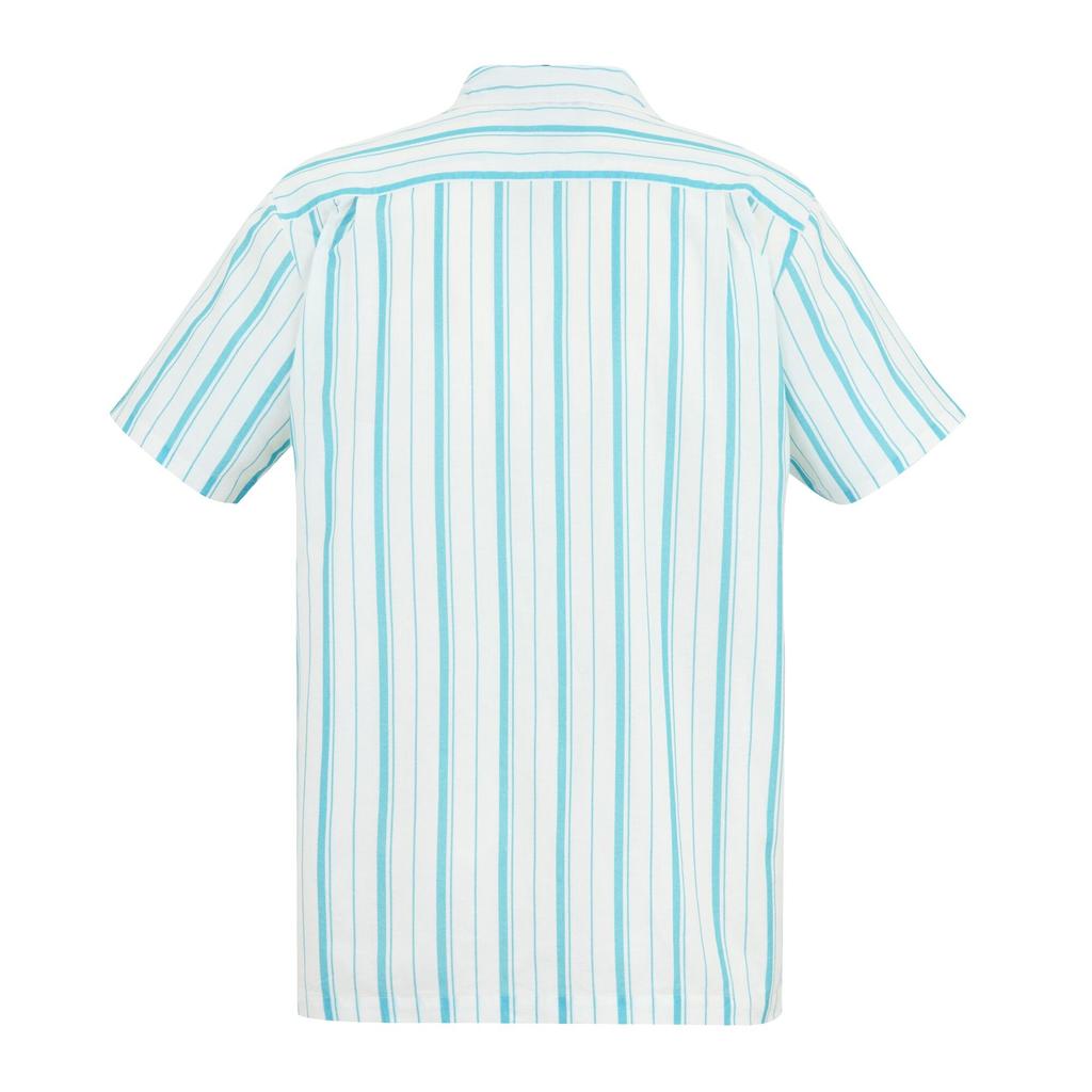 Regatta Mens Hadlin Striped Shirt
