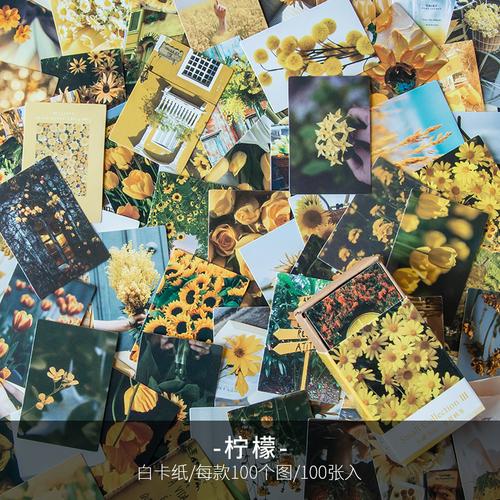 100 Pcs Spring Summer Autumn Winter Kraft Paper Mini Greeting Card INS Flower Postcard Letter Envelope Decoration LOMO Cards