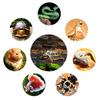 Reptile Heating Pad USB Heating Sheet Winter Carbon Fiber Pet Heating Pad Heating Warm Mat For Small Animals