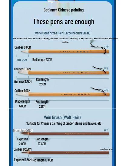 12/24 Color Chinese Ink Painting Set for Beginner and Elementary Art Students