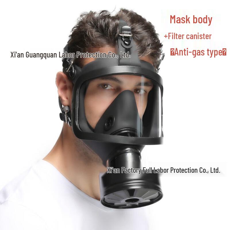 SANSHENG Full Face Gas Mask with Filter Standard