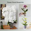 4pcs/set Lightweight Clear Mesh Planter For Plant Container Container Planter Decoration Home Flower