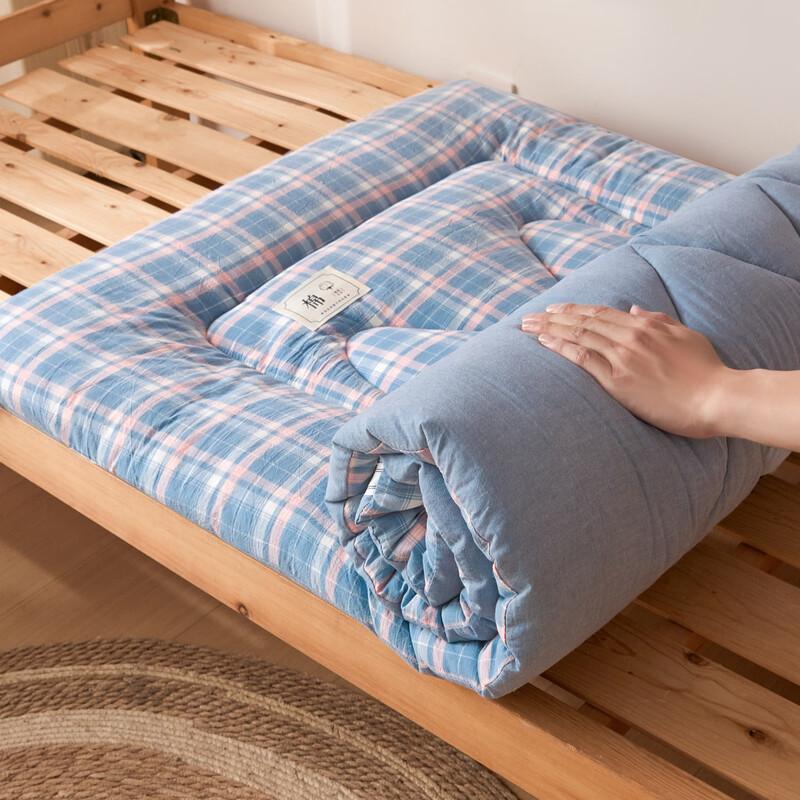 LISM Dormitory Soft Mattress Topper