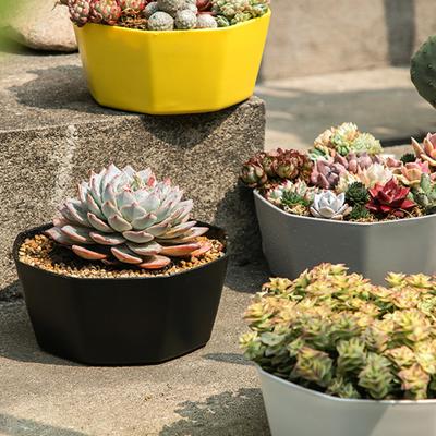 1 Set Blumentopf, solide Konstruktion, großes Fassungsvermögen, Kunstharz, für Sukkulenten, großer Durchmesser, Blumentopf für Zuhause